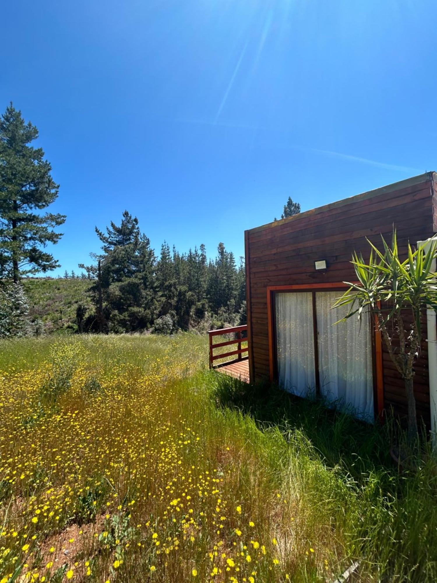 Casa de férias Casa Eco Bosque Pichilemu